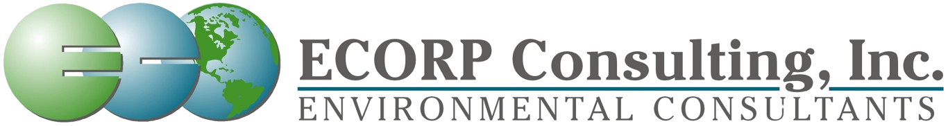 ECORP Consulting, Inc.